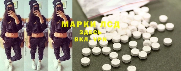 прущие грибы Новозыбков