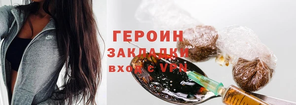 прущие грибы Новозыбков
