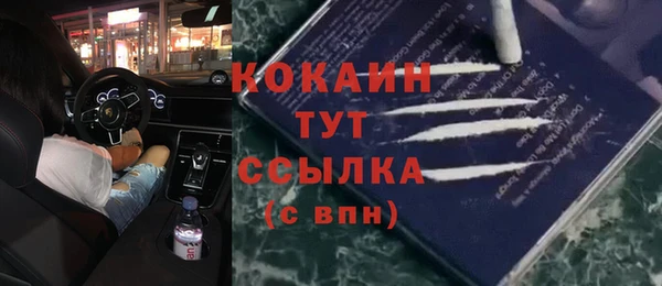 гашик Новокубанск