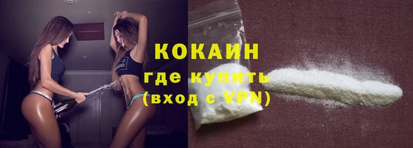 прущие грибы Новозыбков