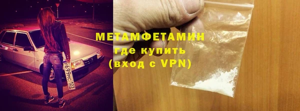 прущие грибы Новозыбков