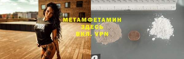 прущие грибы Новозыбков