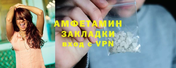 прущие грибы Новозыбков