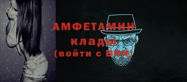 прущие грибы Новозыбков