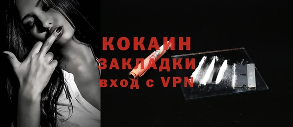 прущие грибы Новозыбков