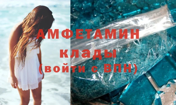 прущие грибы Новозыбков