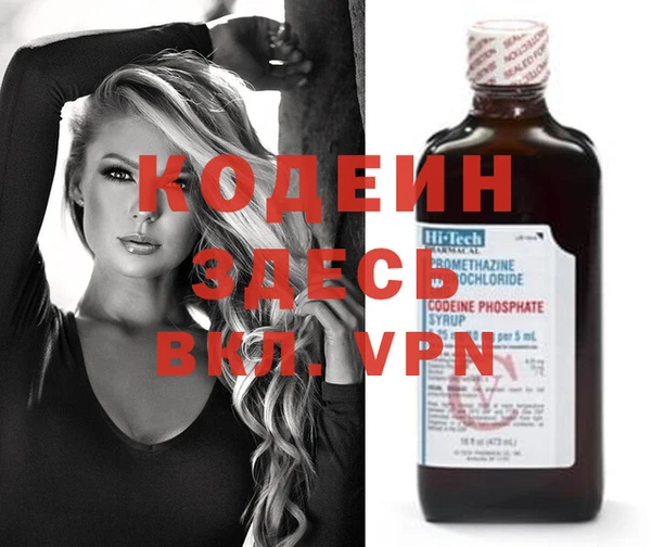 прущие грибы Новозыбков