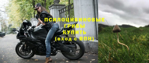 гашик Новокубанск