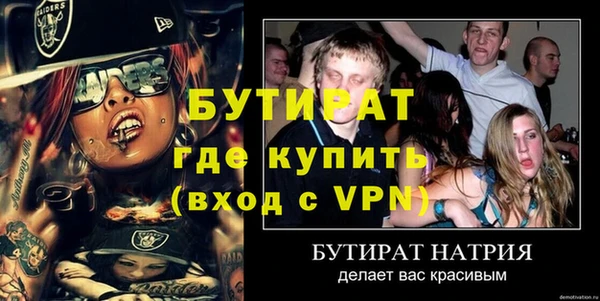 прущие грибы Новозыбков