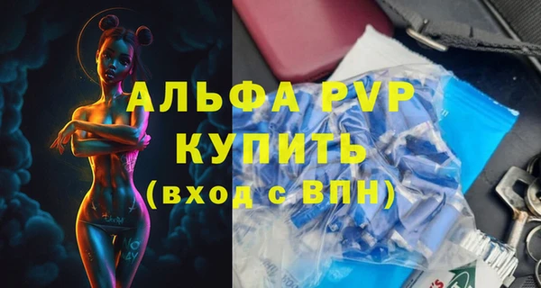 прущие грибы Новозыбков
