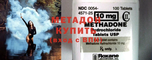 прущие грибы Новозыбков