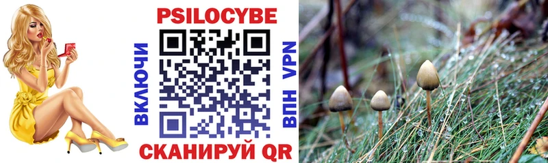 Псилоцибиновые грибы прущие грибы купить Воронеж