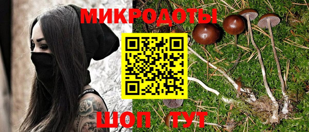 Псилоцибиновые грибы MAGIC MUSHROOMS  Воронеж 
