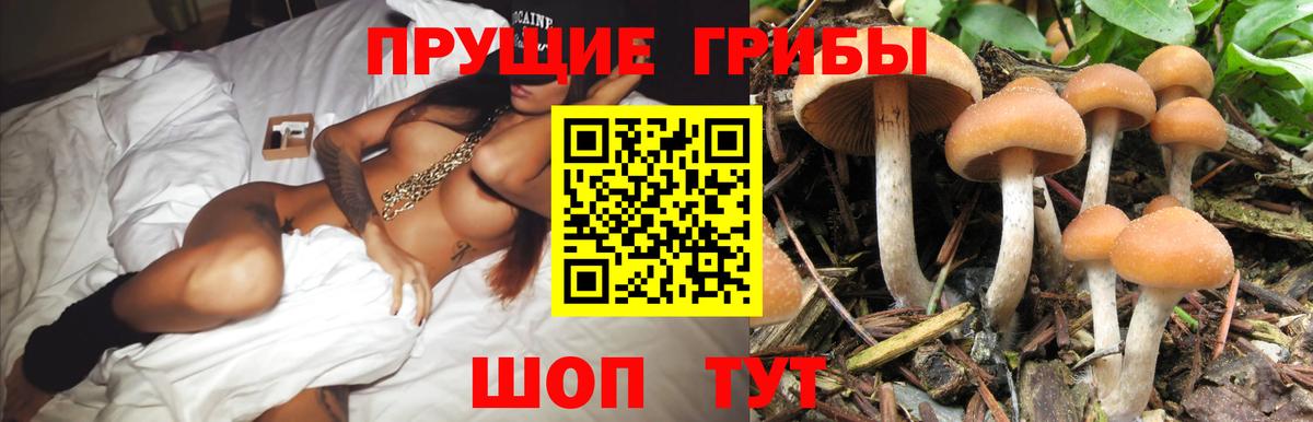 Воронеж  Галлюциногенные грибы мухоморы  Вход с VPN  Псилоцибиновые грибы GOLDEN TEACHER 