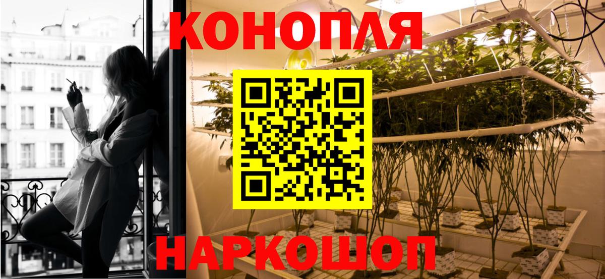 Шишки марихуана MAZAR  Конопля план  Воронеж  Шишки марихуана OG Kush  Вход с VPN 